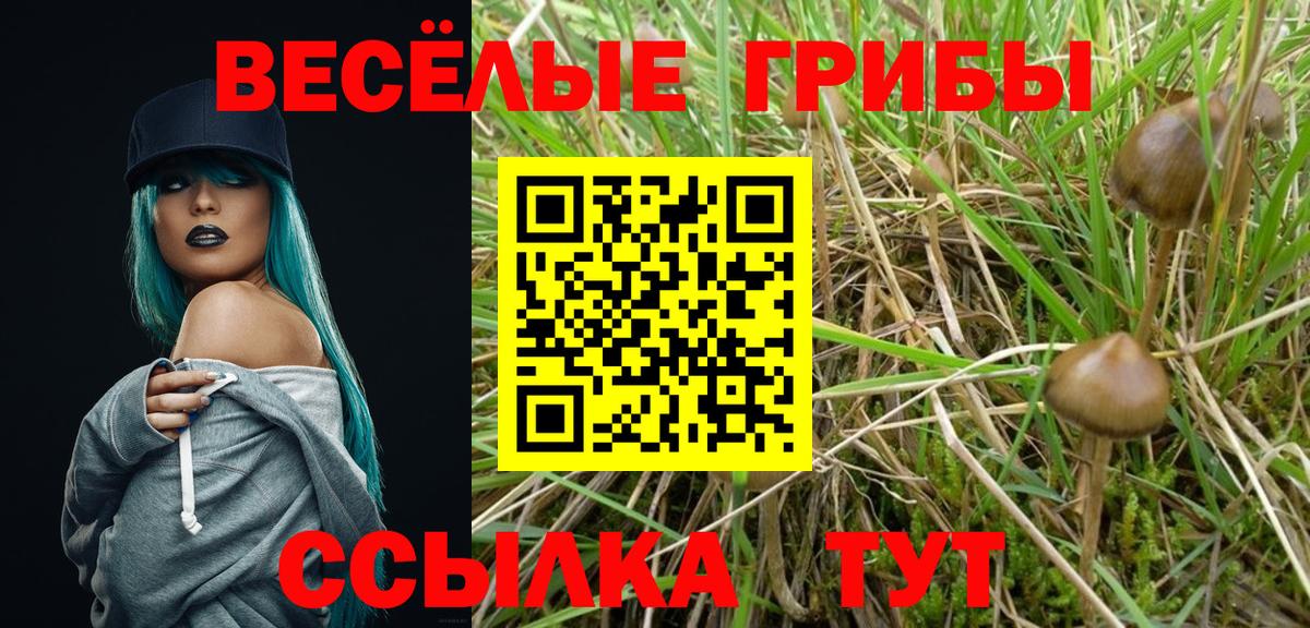 Псилоцибиновые грибы Psilocybine cubensis  Галлюциногенные грибы мухоморы  Моздок  Вход с VPN 