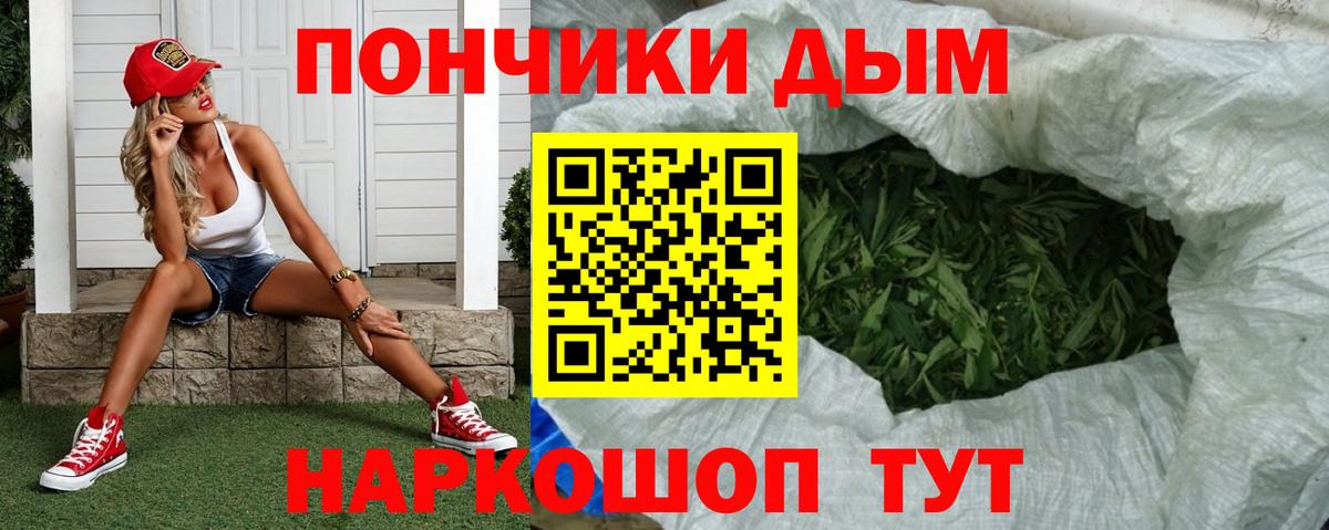 Каннабис индика Моздок